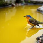 Eau Jaune au Robinet : Comprendre les Origines et Découvrir des Solutions Fiables